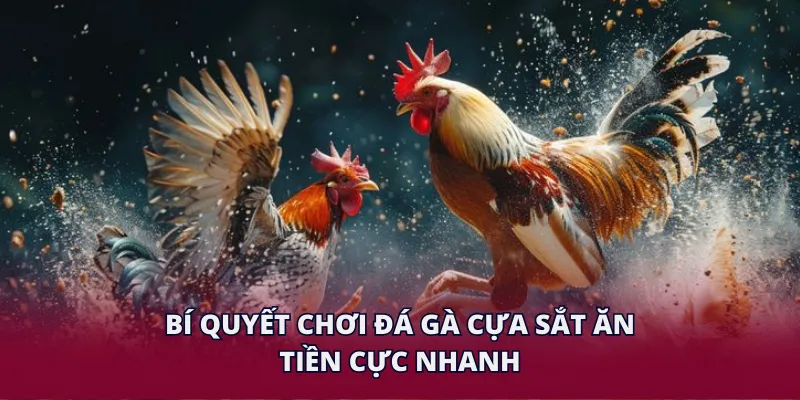 Bí quyết chơi đá gà cựa sắt ăn tiền cực nhanh