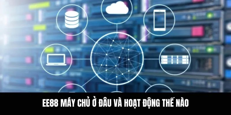 EE88 máy chủ ở đâu và hoạt động thế nào