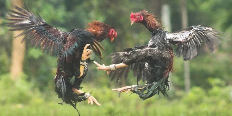 Giao dịch tại sảnh đơn giản an toàn với đa dạng phương thức