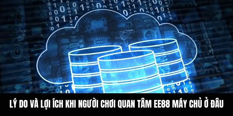 Lý do và lợi ích khi người chơi quan tâm EE88 máy chủ ở đâu