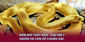 Nằm Mơ Thấy Rắn - Giải Mã Ý Nghĩa Và Con Số Chuẩn Xác