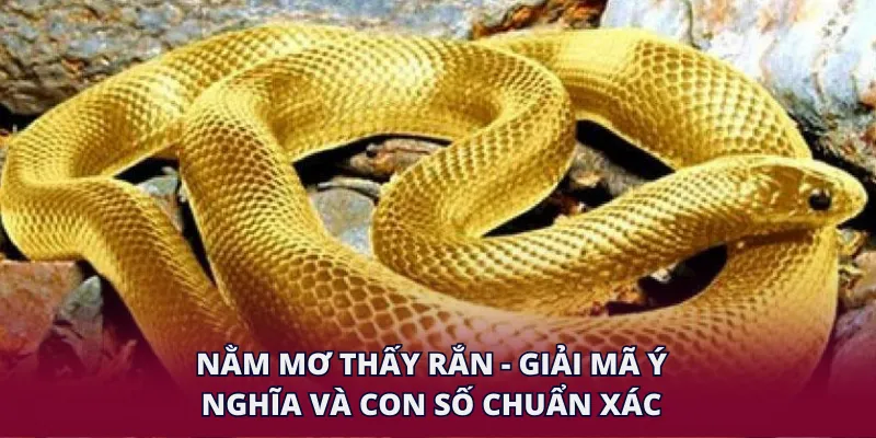 Nằm Mơ Thấy Rắn - Giải Mã Ý Nghĩa Và Con Số Chuẩn Xác