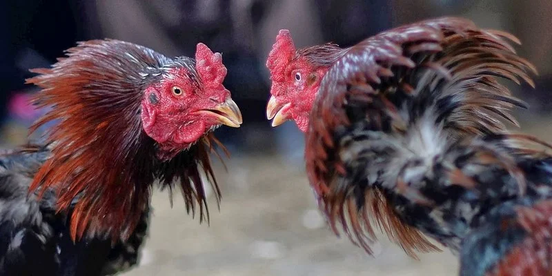 Quy định chi tiết về hiệp đấu và cách xác định kết quả