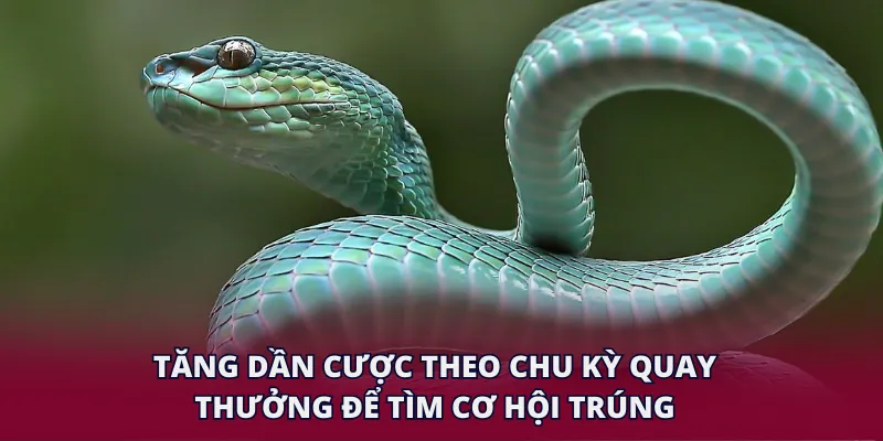 Tăng dần cược theo chu kỳ quay thưởng để tìm cơ hội trúng