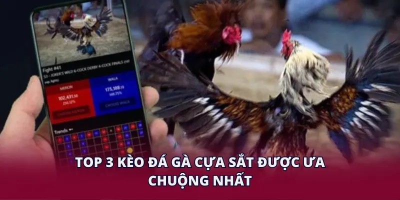 Top 3 kèo đá gà cựa sắt được ưa chuộng nhất